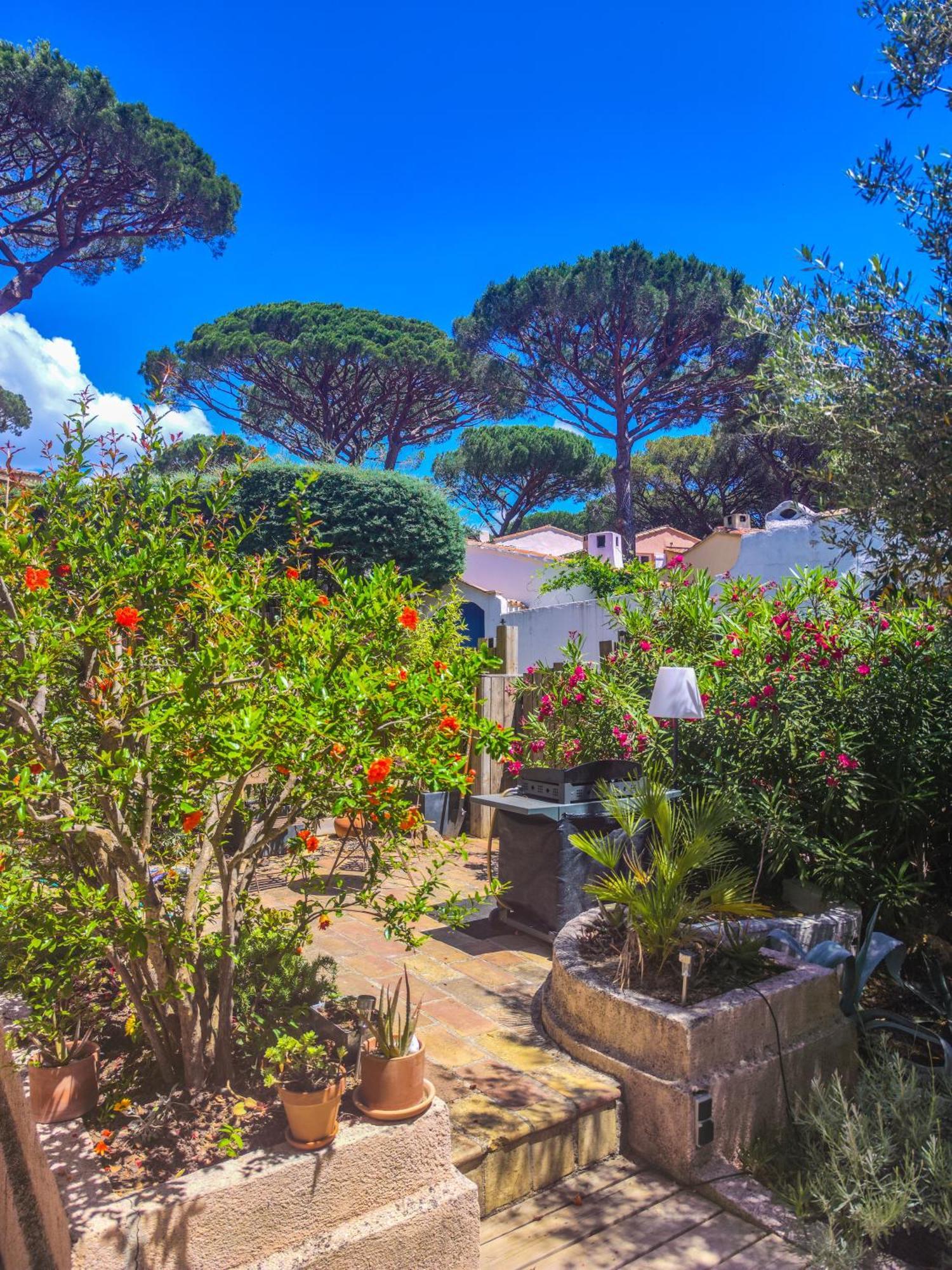 فيلا Joli Mazet Clim Vue St Tropez سانت ماكسيم المظهر الخارجي الصورة